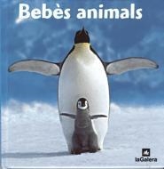 BEBÈS ANIMALS | 9788424624972 | DIVERSOS AUTORS