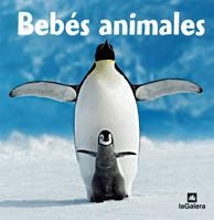 BEBÉS ANIMALES | 9788424624989