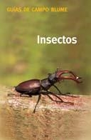 GUÍA CAMPO INSECTOS | 9788480764711 | BELLMANN, HEIKO
