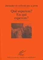 QUÈ ESPEREM? EN QUI ESPEREM? | 9788478269303 | VARIOS AUTORES