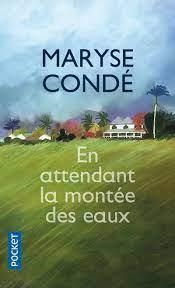 EN ATTENDANT LA MONTÉE DES EAUX | 9782266212724 | CONDE, MARYSE