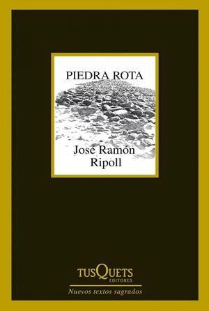 PIEDRA ROTA | 9788483834787 | RIPOLL, JOSEP Mª