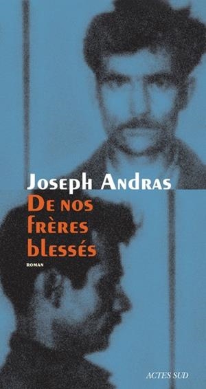 DE NOS FRERES BLESSES | 9782330063221 | ANDRAS, JOSEPH