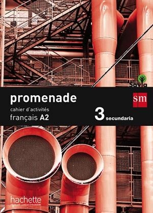 CAHIER DE FRANÇAIS. 3 ESO. PROMENADE | 9788467578010