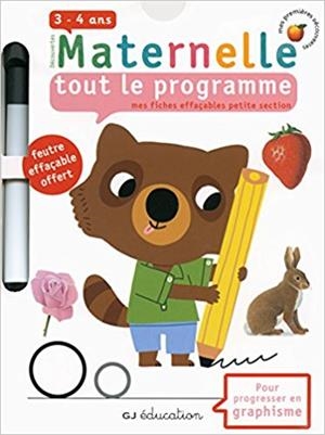 MATERNELLE TOUT LE PROGRAMME. MES FICHES EFFAÇABLES PETITE SECTION - 3-4 ANS | 9782070664863 | COLLECTIF