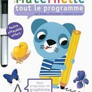 MATERNELLE TOUT LE PROGRAMME. MES FICHES EFFAÇABLES MOYENNE SECTION  4-5 ANS | 9782070664870 | COLLECTIF