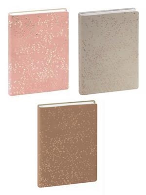 AGENDA SCOLAIRE FORUM FR MELINE | 3660942032063