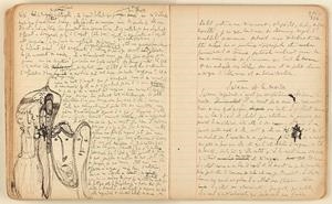 LE PLAISIR D'ÉCRIRE | ISABELLEECRIRE | ISABELLE PLESKOFF