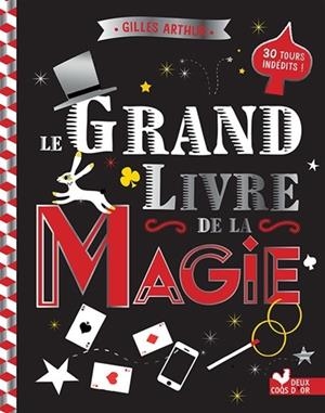 LE GRAND LIVRE DE LA MAGIE | 9782016270639 | GILLES ARTHUR