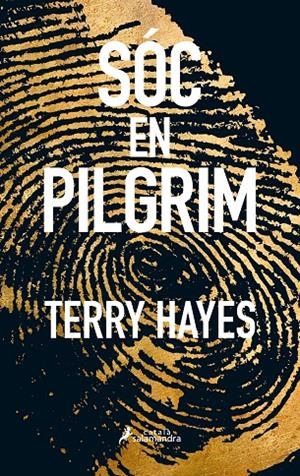 SóC EN PILGRIM | 9788416310289 | HAYES, TERRY
