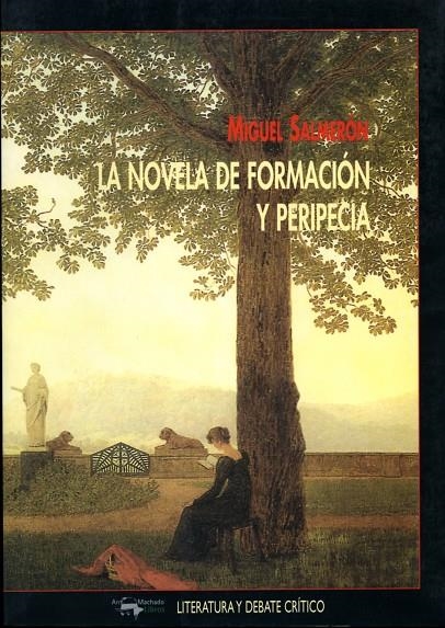 NOVELA DE FORMACION Y PEROPECIA LA | 9788477747307 | SALMERON MIGUEL
