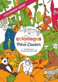 LES COLORIAGES DU PERE CASTOR - JE DÉCOUVRE LES ANIMAUX DU MONDE  | 9782081392960 | PELON, SÉBASTIEN