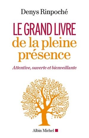LE GRAND LIVRE DE LA PLEINE PRÉSENCE - ATTENTIVE, OUVERTE ET BIENVEILLANTE | 9782226435231 | RINPOCHÉ, DENYS 