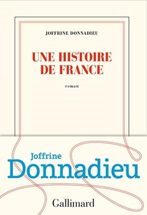UNE HISTOIRE DE FRANCE | 9782072846922 | DONNADIEU, JOFFRINE