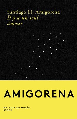 IL Y A UN SEUL AMOUR | 9782234085176 | SANTIAGO H. AMIGORENA