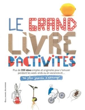 LE GRAND LIVRE D'ACTIVITÉS | 9782070635115