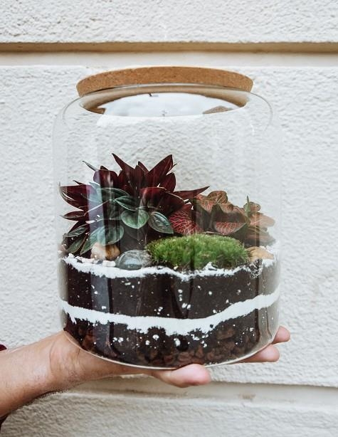 PAMPA TERRARIUM CYLINDRE S | TERRA03
