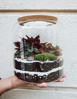 PAMPA TERRARIUM CYLINDRE S | TERRA03