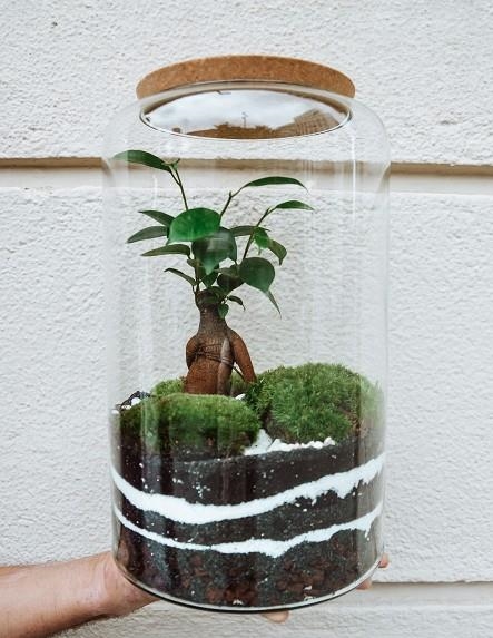 PAMPA TERRARIM CYLINDRE M | TERRA04
