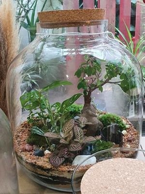 PAMPA TERRARIUM XXL | TERRA10