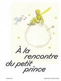A LA RENCONTRE DU PETIT PRINCE : EXPOSITION, PARIS, MUSÉE DES ARTS DÉCORATIFS, DU 17 FÉVRIER AU 26 JUIN 2022 | 9782072971259 | COLLECTIF