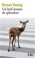 UN BREF INSTANT DE SPLENDEUR | 9782072977428 | VUONG, OCEAN