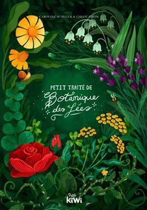 PETIT TRAITE DE BOTANIQUE DES FEES | 9782492533174 | SCHEUER/DIJON