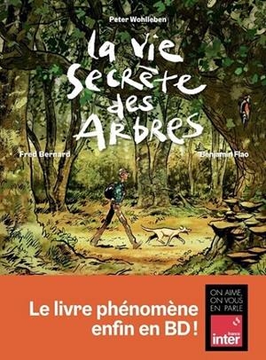 LA VIE SECRÈTE DES ARBRES EN BD | 9791037507273 | WOHLLEBEN , PETER