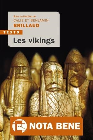 LES VIKINGS | 9791021059061 | BRILLAUD , BENJAMIN / BRILLAUD , CALIE