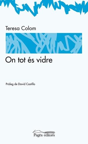 ON TOT ÉS VIDRE | 9788497797689 | COLOM PICH, TERESA