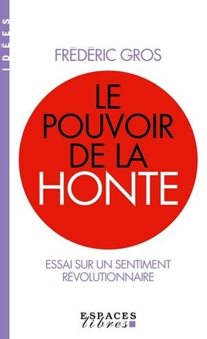 LE POUVOIR DE LA HONTE (ESPACES LIBRES - IDÉES)  | 9782226490353 | GROS, FRÉDÉRIC