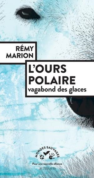 L'OURS POLAIRE, VAGABOND DES GLACES | 9782330185602 | MARION, REMY