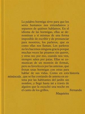 UNA HISTORIA MINÚSCULA | 9788419233714 | FERNANDO MAQUIEIRA