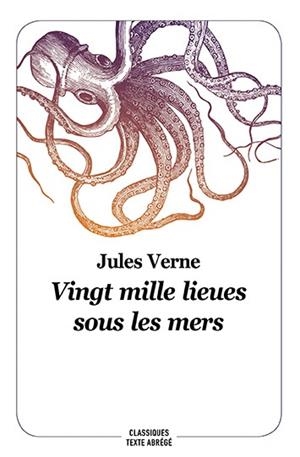 VINGT MILLE LIEUES SOUS LES MERS | 9782211238434 | VERNE