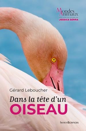 DANS LA TÊTE D'UN OISEAU | 9782379315855 | GÉRARD LEBOUCHER