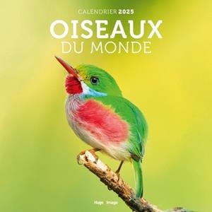 CALENDRIER MURAL OISEAUX DU MONDE 2025 | 9782755676587 | COLLECTIF
