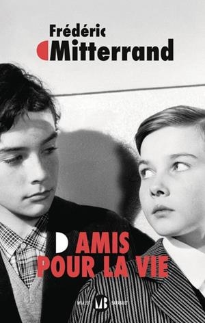 AMIS POUR LA VIE | 9782080285126 | FRÉDÉRIC MITTERRAND