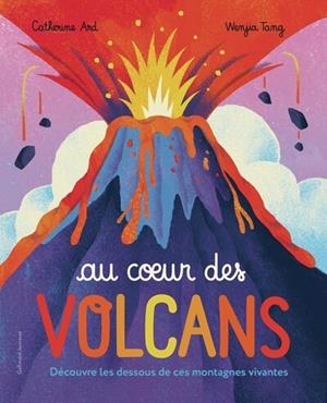 AU COEUR DES VOLCANS | 9782075211888 | COLLLECTIF