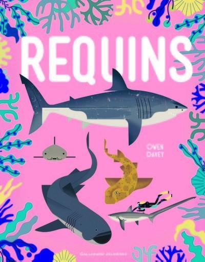 REQUINS | 9782070605279 | COLLECTIF