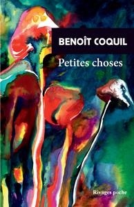 PETITES CHOSES | 9782743664244 | BENOÎT COQUIL