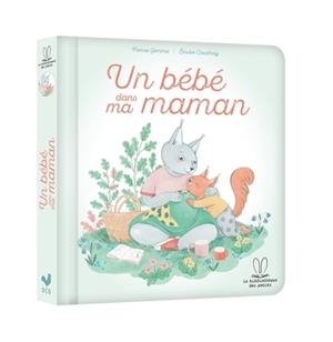 UN BÉBÉ DANS MA MAMAN | 9782017223474 | PIERRE GEMME , ÉLODIE COUDRAY