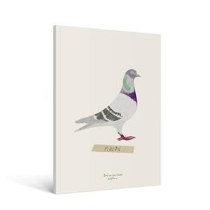 CARNET OISEAU A5 - ZOÉ DE LAS CASES | 9782017300250 | ZOÉ DE LAS CASES