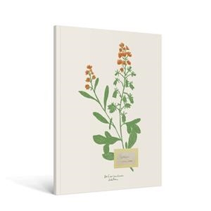 CARNET FLEURS A5 - ZOÉ DE LAS CASES | 9782017300243 | ZOÉ DE LAS CASES