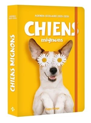 AGENDA SCOLAIRE CHIENS MIGNONS 2025-2026 | 9782755680041 | COLLECTIF