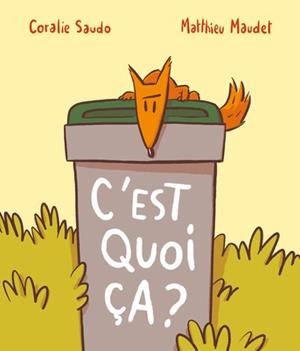 C'EST QUOI, ÇA ? | 9782211330695 | MATTHIEU MAUDET