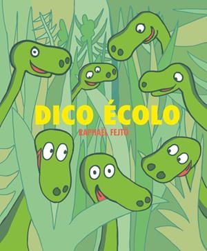 DICO ÉCOLO | 9782211332071 | RAPHAËL FEJTÖ