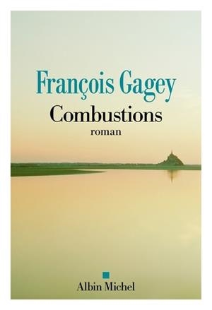 COMBUSTIONS | 9782226497161 | FRANÇOIS GAGEY