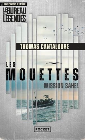 LES MOUETTES - MISSION SAHEL | 9782266352970 | CANTALOUBE, THOMAS