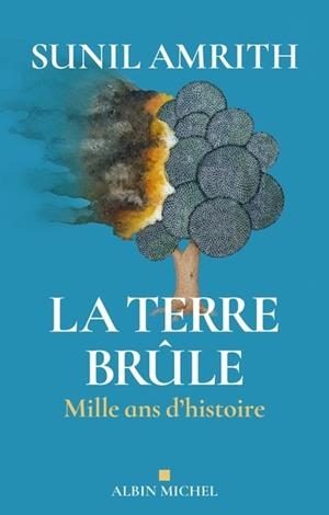 LA TERRE BRÛLE - MILLE ANS D'HISTOIRE | 9782226473035 | AMRITH, SUNIL