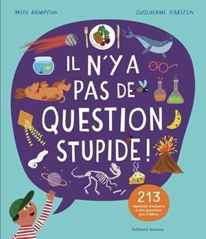 IL N'Y A PAS DE QUESTION STUPIDE ! | 9782075223034 | RAMPTON , MIKE